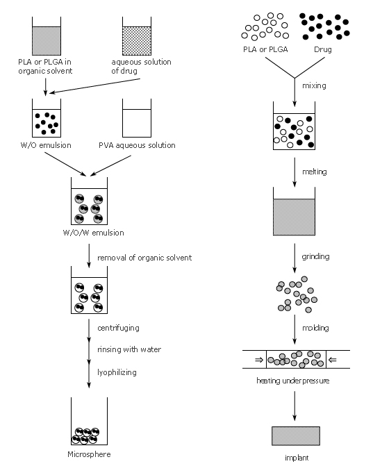 Correlation of drug release between in vitro and in vivo