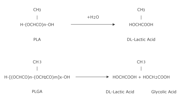 3.Hydrolysis of PLA and PLGA