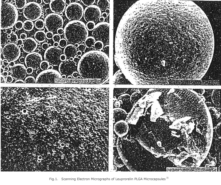 Fig.1.　Scanning Electron Micrographs of Leuprorelin PLGA Microcapsules
